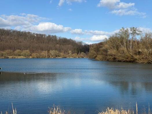 Einfamilienhaus zum Kauf 235.000 € 3 Zimmer 123 m² 229 m² Grundstück frei ab sofort An den Flachsrotten 7 Vienenburg Goslar 38690