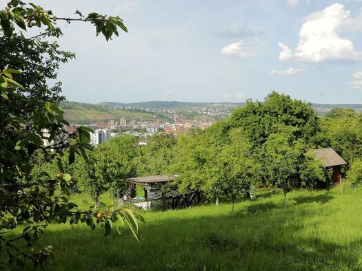 Grundstück zum Kauf provisionsfrei 79.000 € 3.480 m² Grundstück Esslingen am Neckar 73734