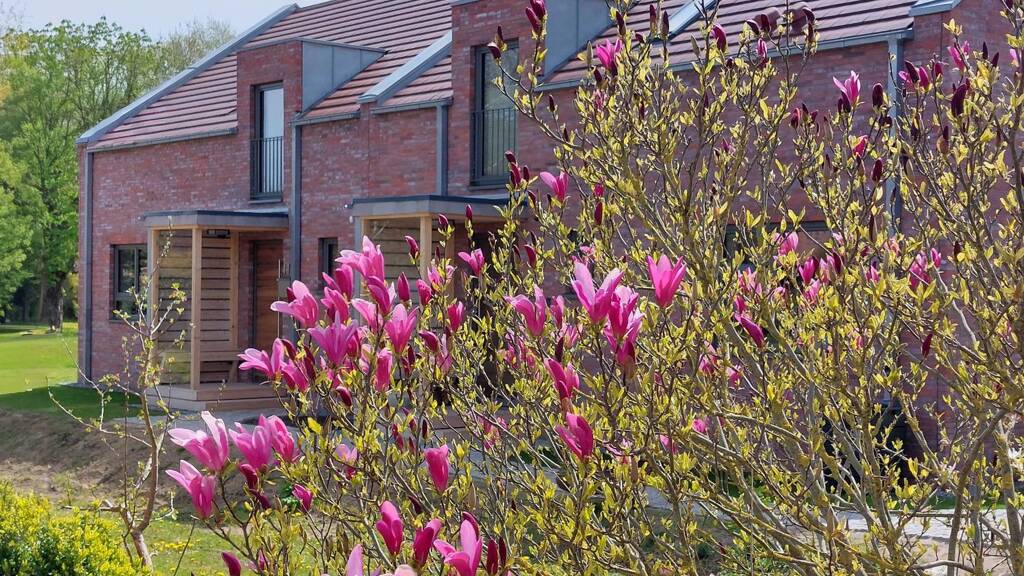 Doppelhaushälfte zur Miete 1.850 € 4,5 Zimmer 145 m² 517 m² Grundstück frei ab 01.05.2026 Dorfstraße 43 Pülsen 24257