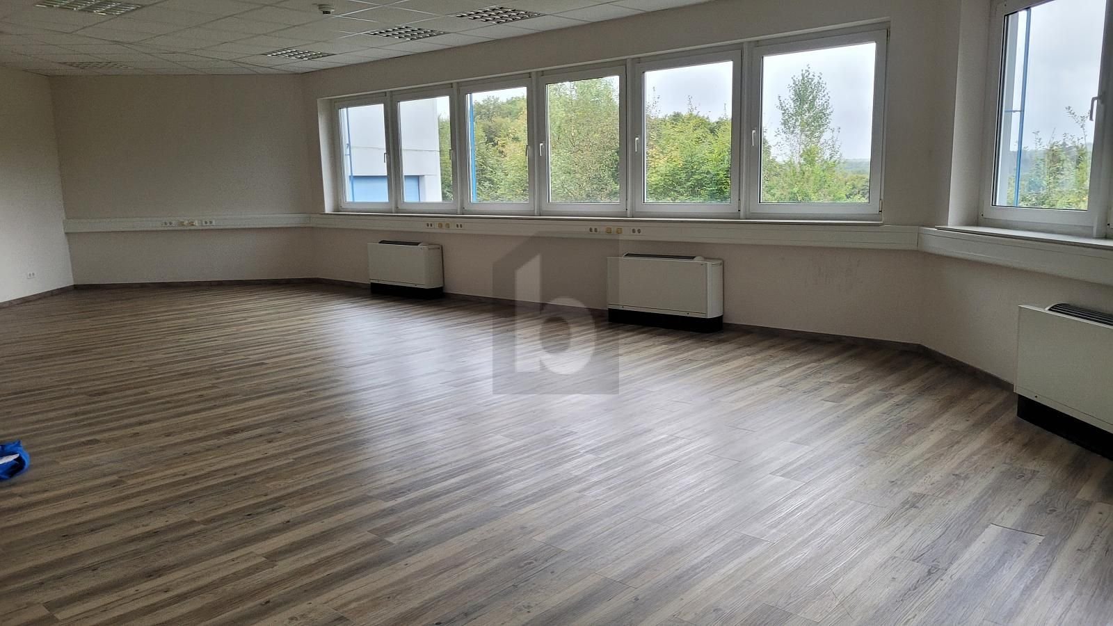 Bürofläche zur Miete 2.950 € 12 Zimmer Malbergweich 54655