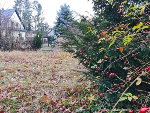 Grundstück zum Kauf provisionsfrei 265.000 € 975 m² Grundstück Grüner Weg 71 Senzig 15712