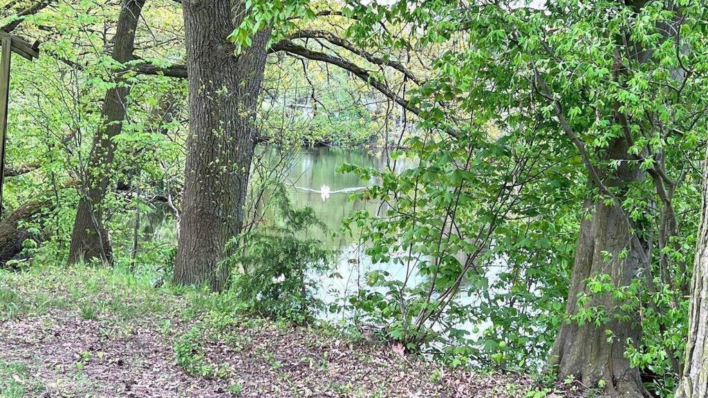 Einfamilienhaus zum Kauf 575.000 € 6 Zimmer 150 m² 2.885 m² Grundstück Altenbach Bennewitz 04828