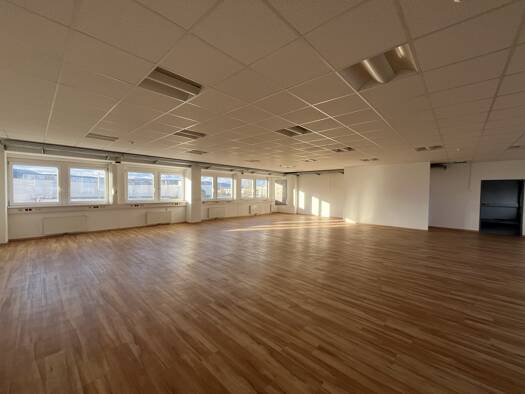 Bürofläche zur Miete 10,50 € 213,1 m² Bürofläche Wiener Neudorf 2351