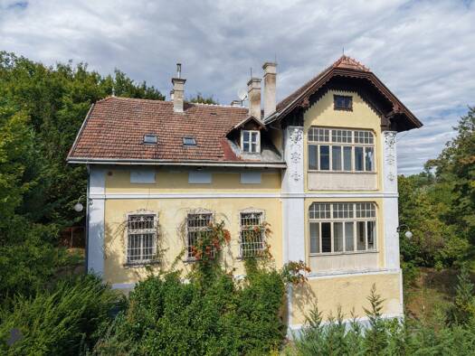 Villa zum Kauf 1.300.000 € 8 Zimmer 389 m² 1.814 m² Grundstück Waldgasse Hinterbrühl 2371