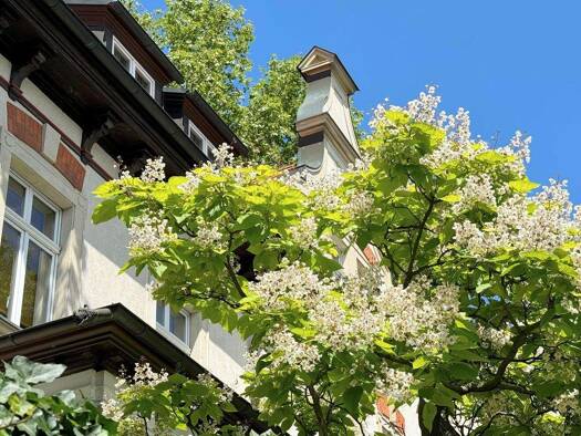 Villa zum Kauf 2.895.000 € 17 Zimmer 503,5 m² 1.200 m² Grundstück Gohlis-Süd Leipzig 04155