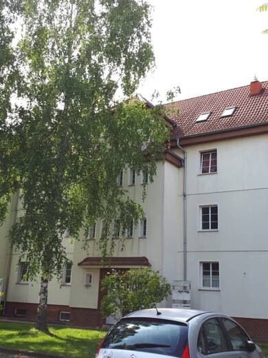 Wohnung zur Miete 385 € 3 Zimmer 63,9 m² 2. Geschoss Aschersleben Aschersleben 06449