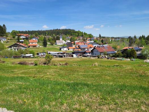Grundstück zum Kauf 79.000 € 1.000 m² Grundstück frei ab sofort Philippsreut Philippsreut 94158