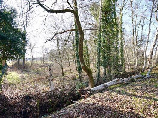 Land-/Forstwirtschaft zum Kauf 1.250 m² Grundstück Scheeßel Scheeßel / Westerholz 27383