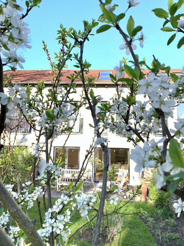 Reihenmittelhaus zum Kauf provisionsfrei 890.000 € 6 Zimmer 169 m² 205 m² Grundstück Templiner Vorstadt Potsdam 14473