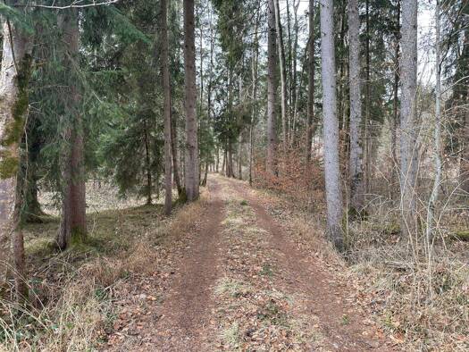 Land-/Forstwirtschaft zum Kauf 169.000 € 31.295 m² Grundstück Steinhart Pfaffing 83539