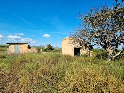 Acker-/Waldstück zum Kauf 26.000 € Ginestar 43748
