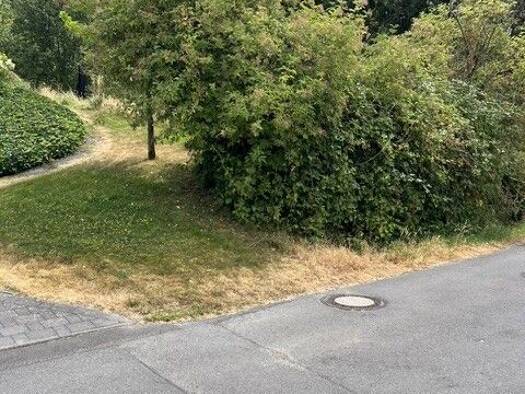 Grundstück zum Kauf 150.000 € 580 m² Grundstück Bad Honnef Bad Honnef 53604