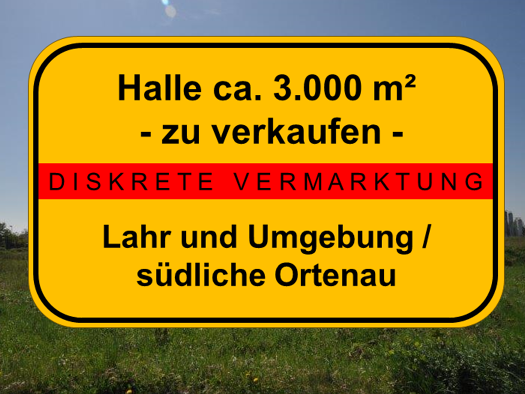 Halle/Industriefläche zum Kauf 2.750.000 € 3.000 m² Lagerfläche Lahr Lahr/Schwarzwald 77933