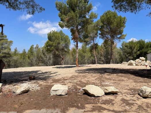 Acker-/Waldstück zum Kauf 250.000 € Calle Benisol 13 Teulada 03724
