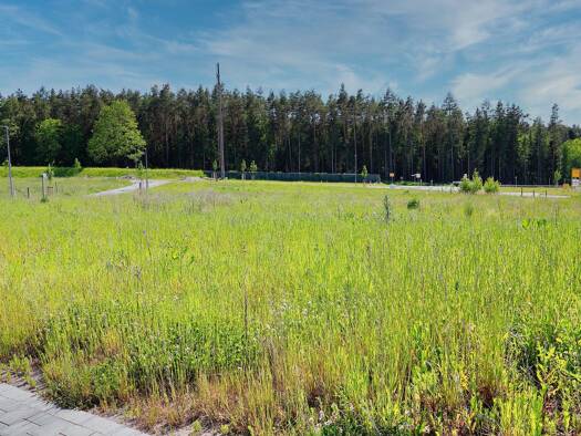 Grundstück zum Kauf 97.995 € 705 m² Grundstück Baugenehmigung vorhanden frei ab sofort Creußen Creußen 95473