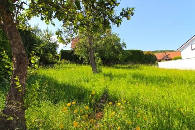 Grundstück zum Kauf 82.500 € 564 m² Grundstück Gehlenbeck Lübbecke 32312