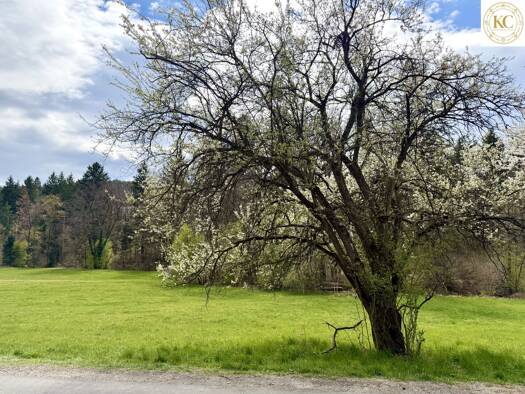 Grundstück zum Kauf 280.000 € 800 m² Grundstück Andritz Graz,12.Bez.:Andritz 8045