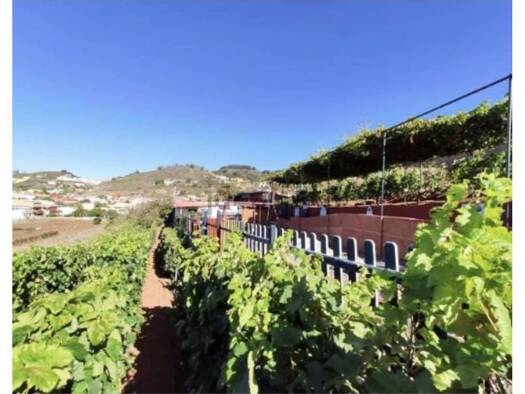 Verkaufsfläche zum Kauf 690.000 € 346 m² Verkaufsfläche las Mercedes 270 San Cristóbal de La Laguna 38293