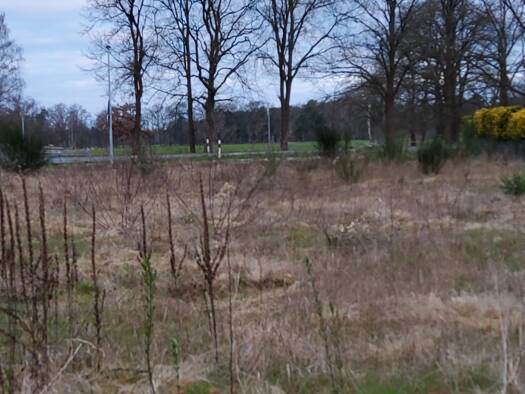 Grundstück zum Kauf als Kapitalanlage geeignet 449.000 € 1.242 m² Grundstück Behrestraße 2/2a Nienhorst Nienhagen 29336