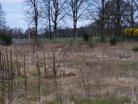 Grundstück zum Kauf als Kapitalanlage geeignet 449.000 € 1.242 m² Grundstück Behrestraße 2 Nienhorst Nienhagen 29336