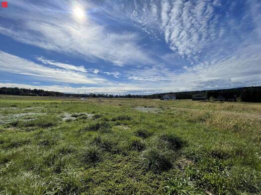 Grundstück zum Kauf 260.520 € 1.336 m² Grundstück Attendorf 8151