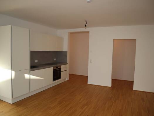 Wohnung zur Miete 802 € 2 Zimmer 1. Geschoss frei ab sofort Messinggasse Lienz 9900