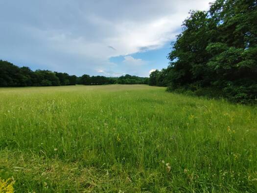 Grundstück zum Kauf 99.000 € 18.671 m² Grundstück frei ab sofort Kercaszomor 9945