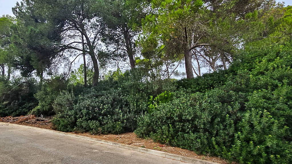 Grundstück zum Kauf provisionsfrei 480.000 € 818 m² Grundstück Manacor 07680