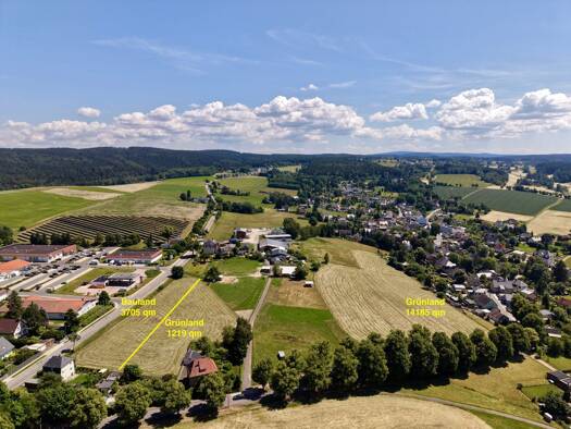 Grundstück zum Kauf 205.000 € 19.630 m² Grundstück Beerheide Auerbach 08209