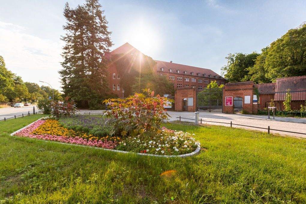 Property thumbnail 5