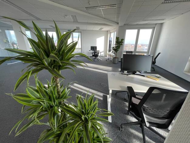 Bürofläche zur Miete provisionsfrei 249 € 4 m² Bürofläche Breitenbachstraße Borsigwalde Berlin 13403