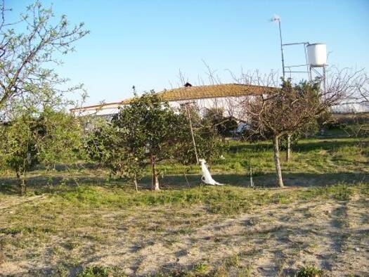 Bauernhaus zum Kauf 95.000 € 4 Zimmer 120 m² 10.000 m² Grundstück Bollullos Par del Condado 21710