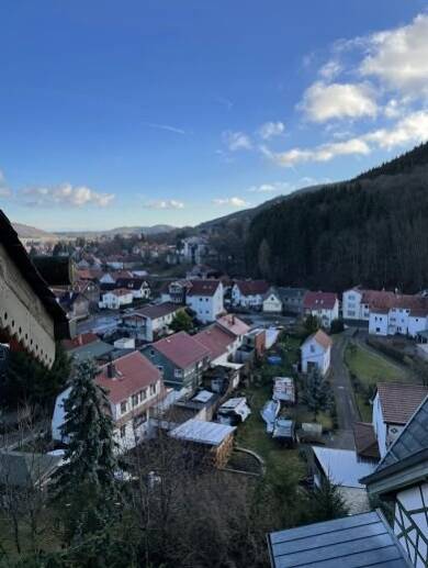 Wohnung zur Miete 721 € 3,5 Zimmer 103 m² Geschoss 1/1 frei ab 01.09.2025 Friedrichroda Friedrichroda 99894