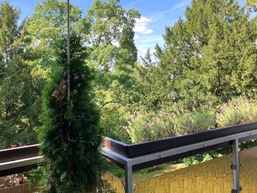 Wohnung zum Kauf provisionsfrei 449.000 € 3 Zimmer 91,5 m² Wiesbaden 65191