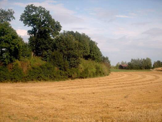 Landwirtschaftliche Fläche zum Kauf 19.100 m² Aukam Geisenhausen 84144