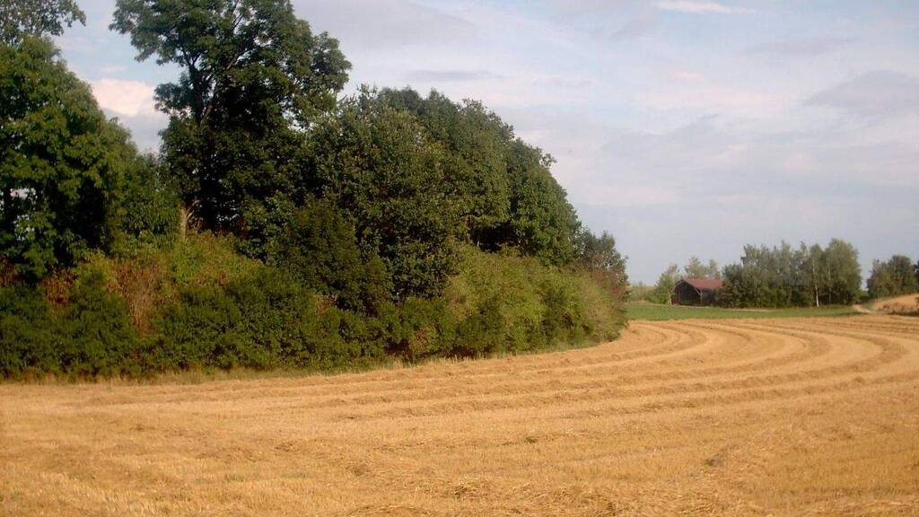 Landwirtschaftliche Fläche zum Kauf 19.100 m² Aukam Geisenhausen 84144