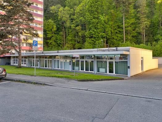 Mehrfamilienhaus zum Kauf 990.000 € 18 Zimmer 382 m² 3.927 m² Grundstück Waldkirch Waldkirch 79183