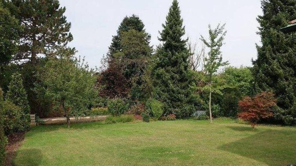 - Reserviert -Wohnen auf einer Ebene gefällig?