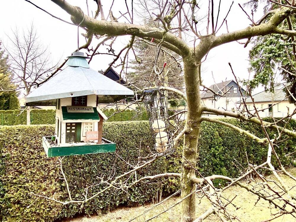 Property thumbnail 15