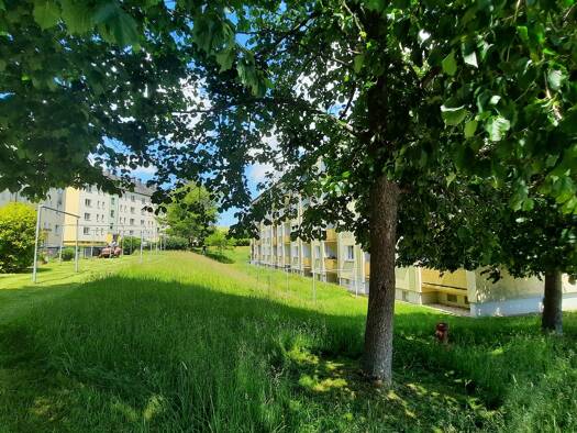 Wohnung zur Miete 303 € 2 Zimmer 50,6 m² frei ab sofort Drebach Drebach 09430