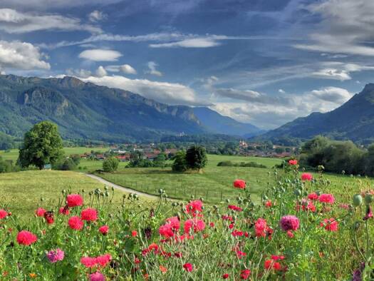 Wohnung zur Miete 950 € 3 Zimmer 85 m² Geschoss 1/2 frei ab 01.02.2026 Sonnwendstraße 9 Aschau Aschau im Chiemgau 83229