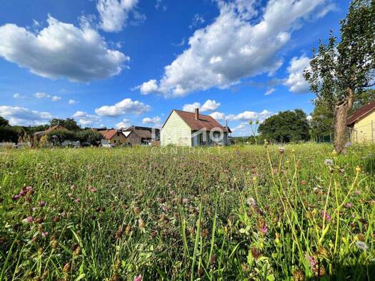 Grundstück zum Kauf 99.000 € 1.642 m² Grundstück Langenlois 3550