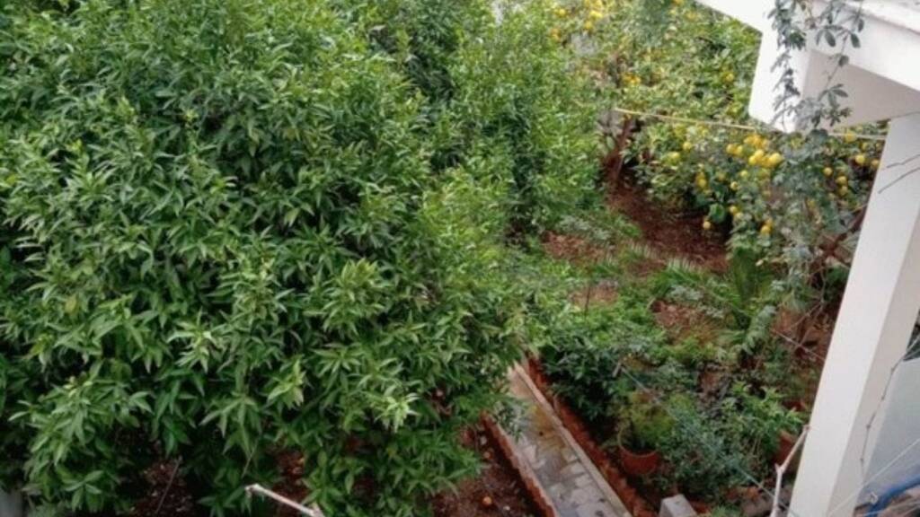 Einfamilienhaus zum Kauf 140.000 € 5 Zimmer 103 m² 310 m² Grundstück NEO HRAKLEIO ATTIKIS 14122