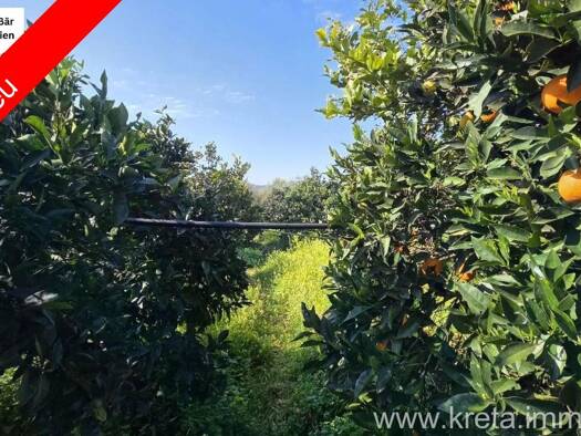 Land-/Forstwirtschaft zum Kauf 40.000 € 4.000 m² Grundstück Tympaki 702 00