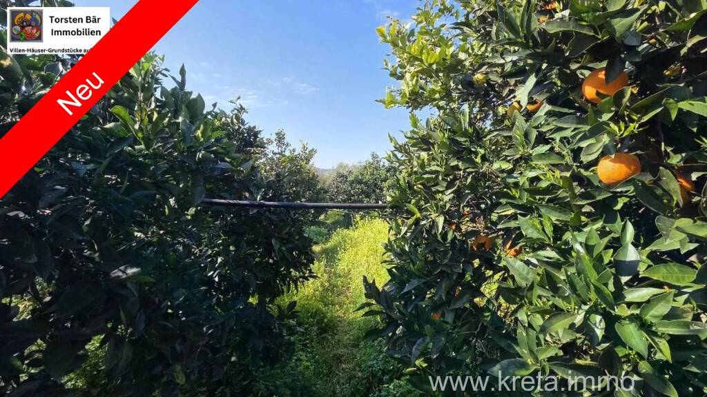 Land-/Forstwirtschaft zum Kauf 40.000 € 4.000 m² Grundstück Tympaki 702 00