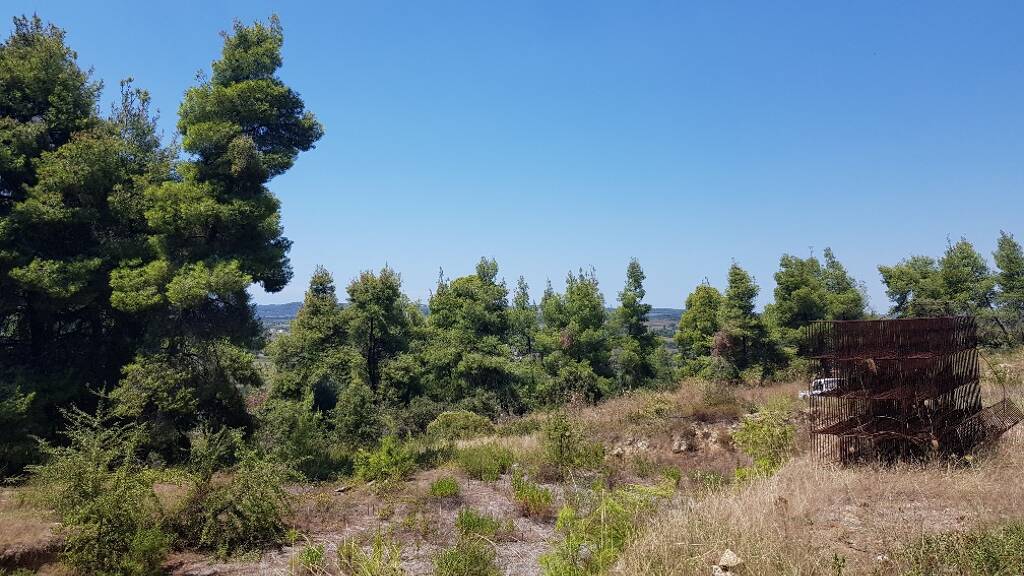 Land-/Forstwirtschaft zum Kauf 320.000 € 11.000 m² Grundstück Chalkidiki