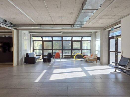 Bürofläche zur Miete 10 € 388 m² Bürofläche Tumringen Lörrach 79539