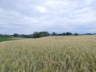 Landwirtschaftliche Fläche zum Kauf 451.000 € 25.023 m² Grundstück Gartelsried Hilgertshausen-Tandern 86567