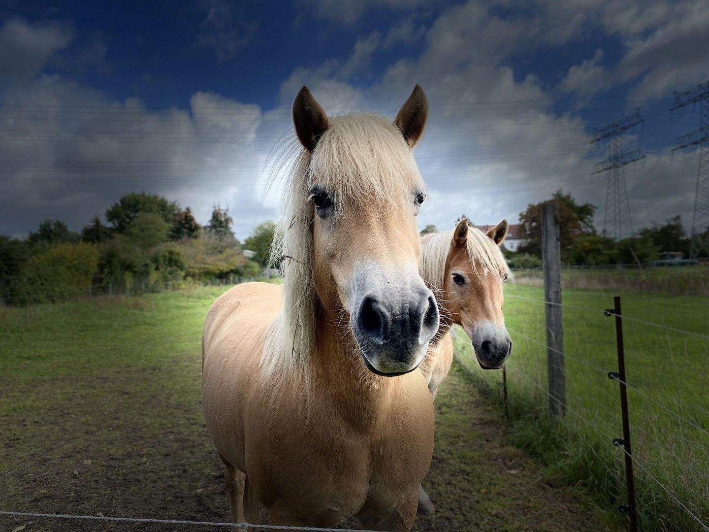 Property thumbnail 20