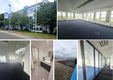 Bürofläche zur Miete 5.088 € 10 Zimmer 598,4 m² Bürofläche Wiedemar Wiedemar 04509